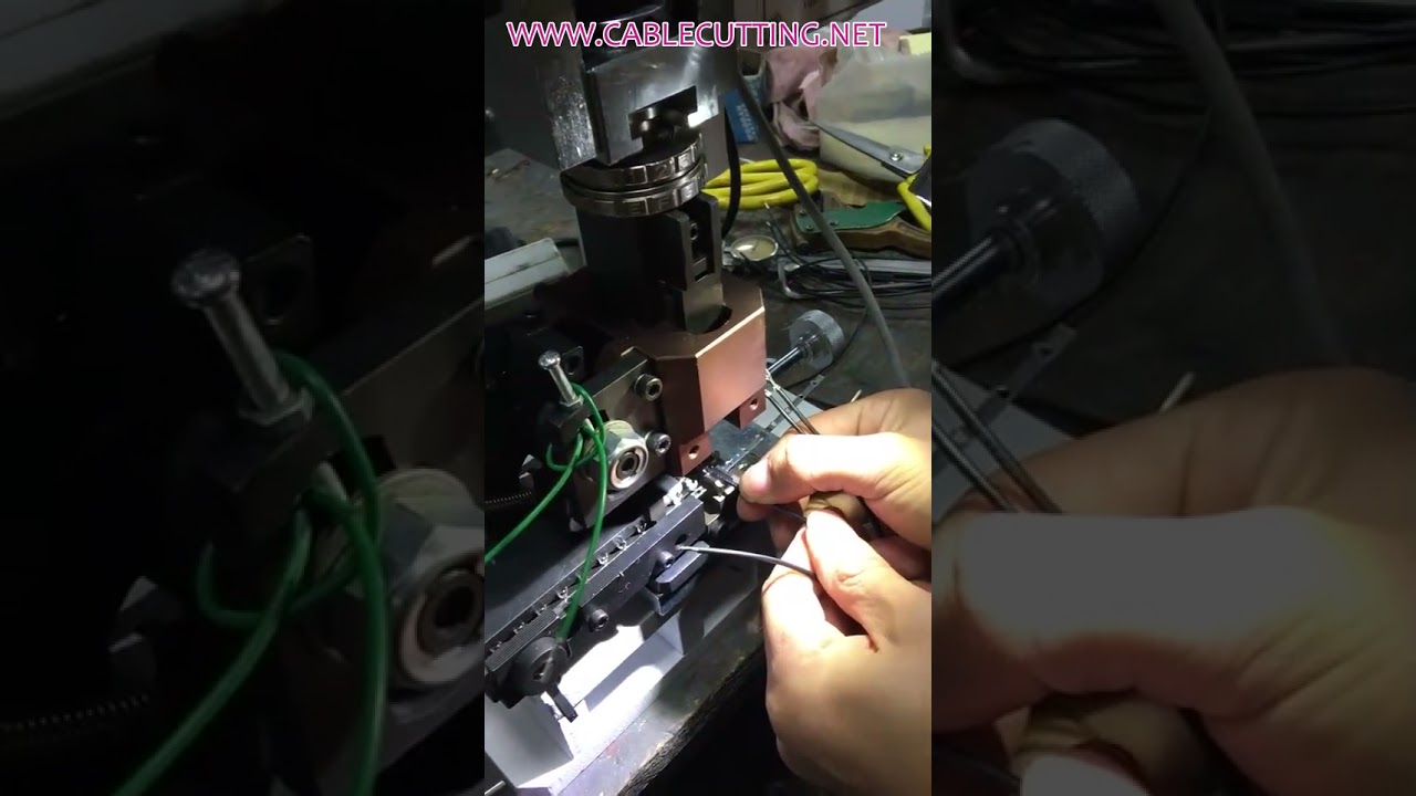 Lippaliittimen ja mykän liittimen puristusmuotti, Puristusmuotti