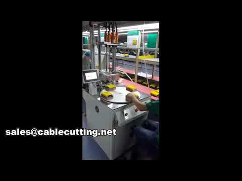 automatic screw locking machine WPM-803